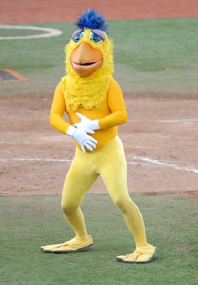 The SD Chicken exposed at Goss